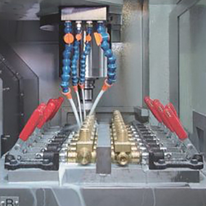 david león válvula gnc